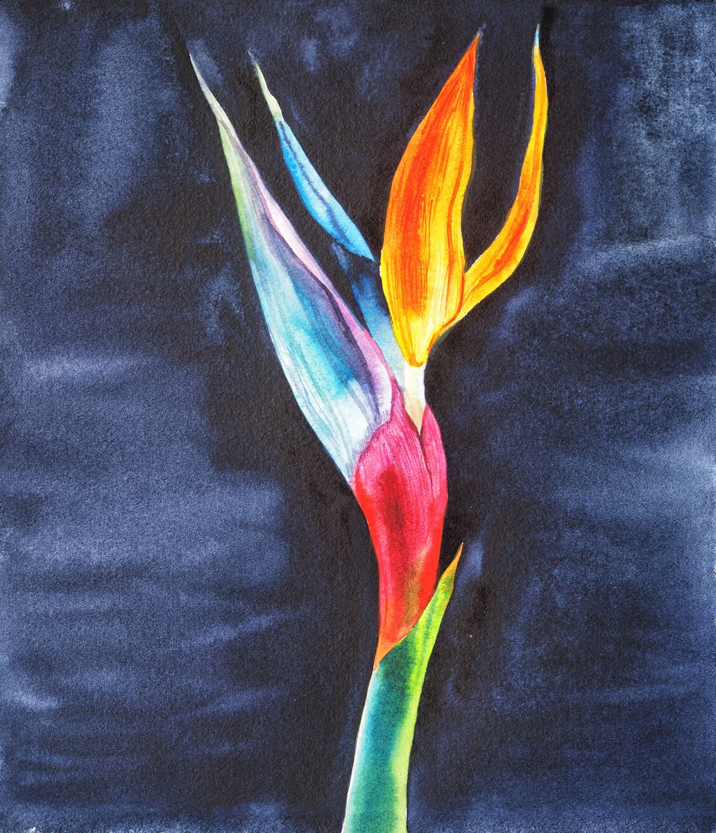 Impressionistic Botanical Watercolour By Delnara El, 10 X 11, Strelitzia On, Vol.2, Original Artwork