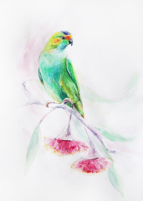 Watercolor painting Bird