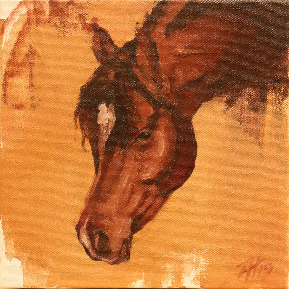 Equine Head Arab Chestnut (study 14A) by Zil Hoque