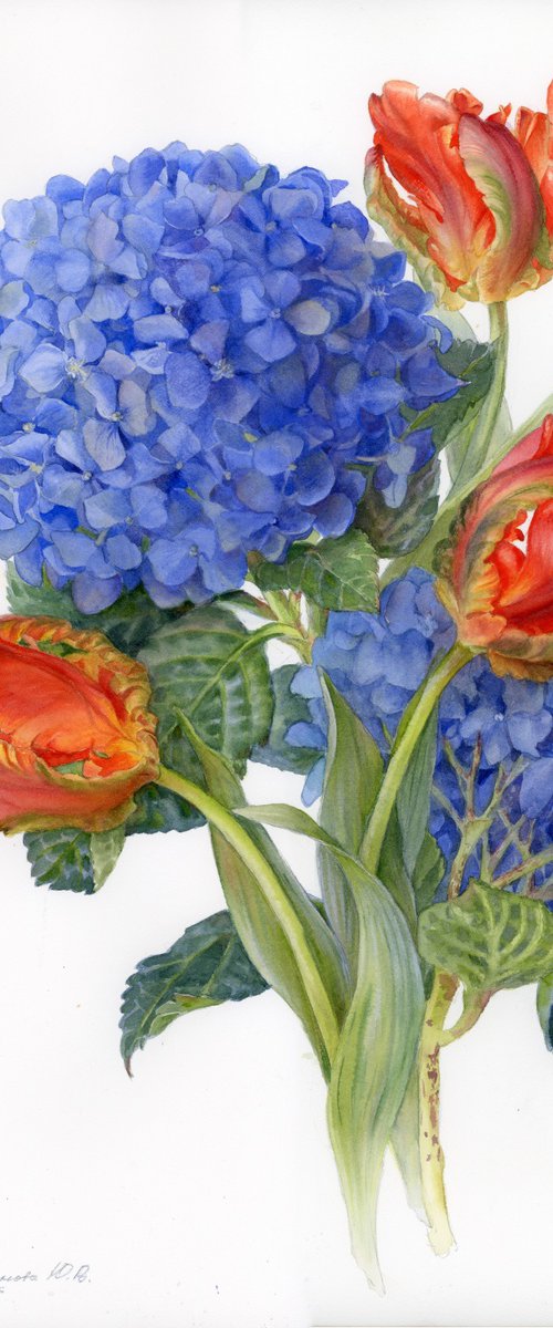 Hydrangea and Tulips by Yulia Krasnov