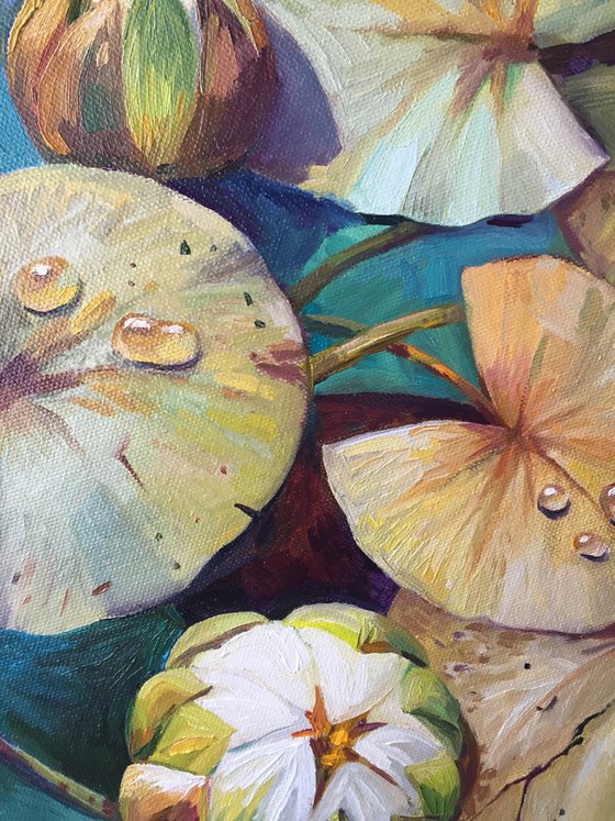 Water lilies. Painting of water lilies.