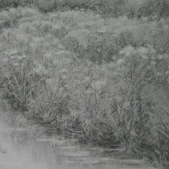 Summer Day, DuPage River