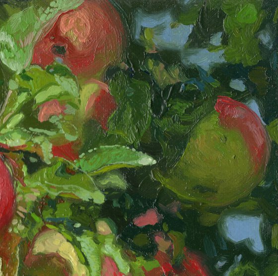 Apples