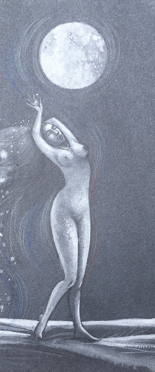 Moonlight Desire by Phyllis Mahon