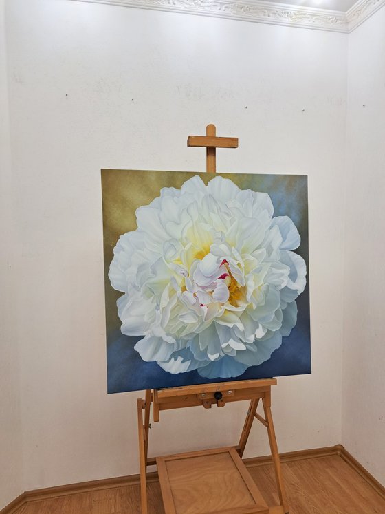 Peony extravaganza