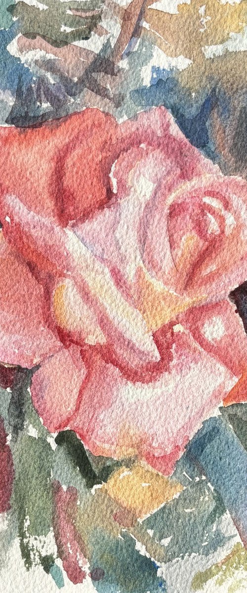 Coral rose by Elena Lykhodid