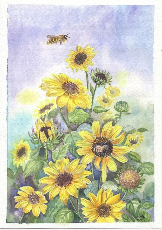 Sunflowers