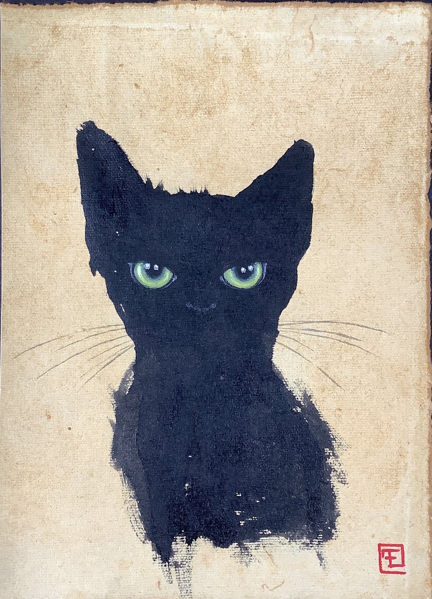 CAT by Eva Fialka