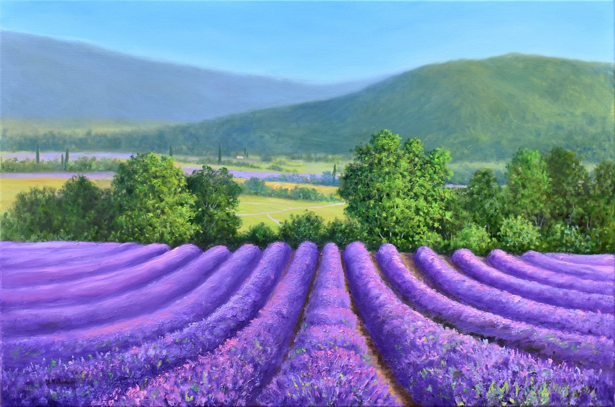 Lavender Season by Yulia Nikonova