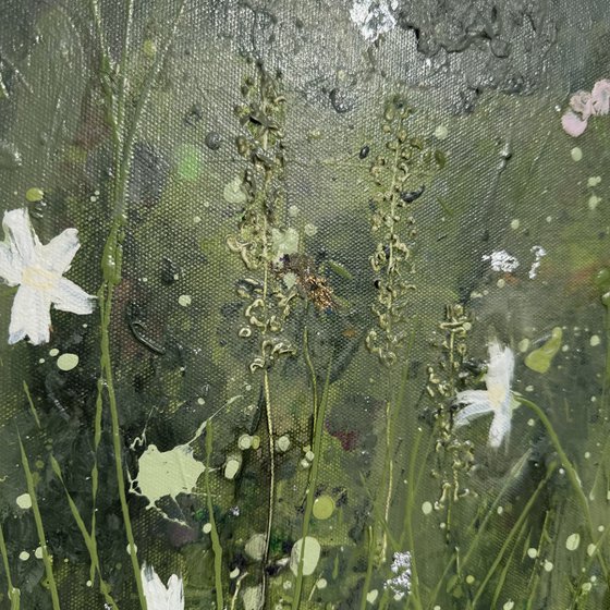 Woodland Flowers (2)