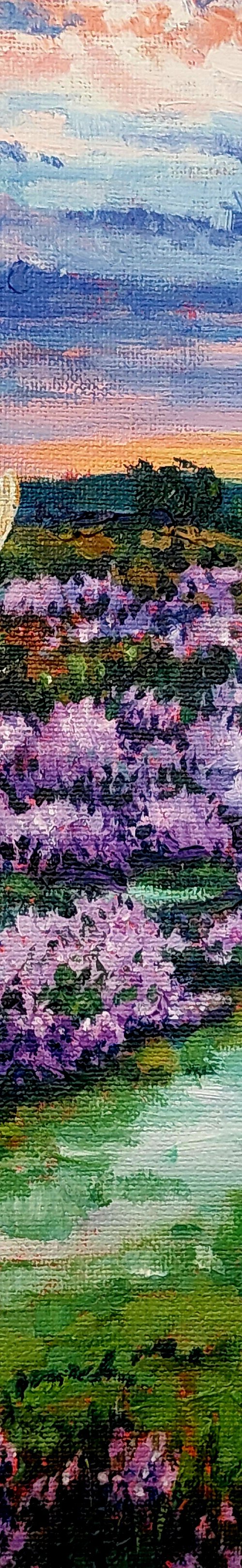 Morning Heather by Zoe Elizabeth Norman