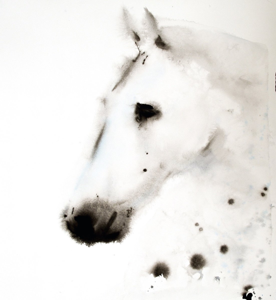Abstract Watercolour , White Horse By Belyaeva Oleksandra, 18 X 20, Artwork For Sale On Artfinder