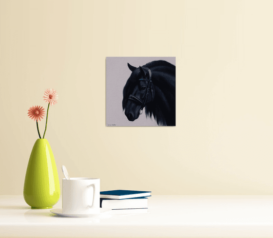 Horse Portrait 15