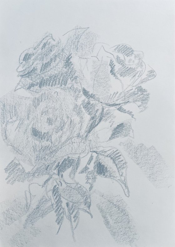 Roses #12. Original pencil drawing