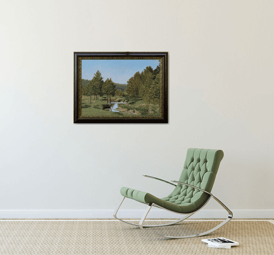 Pine Trees and a Mountain Stream