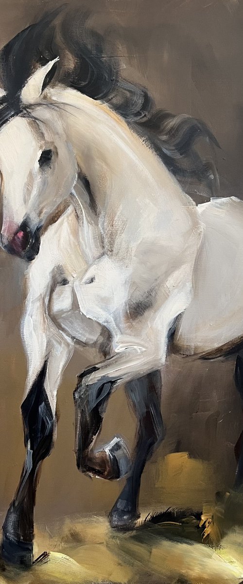 The Lusitano by Tamara Andjus