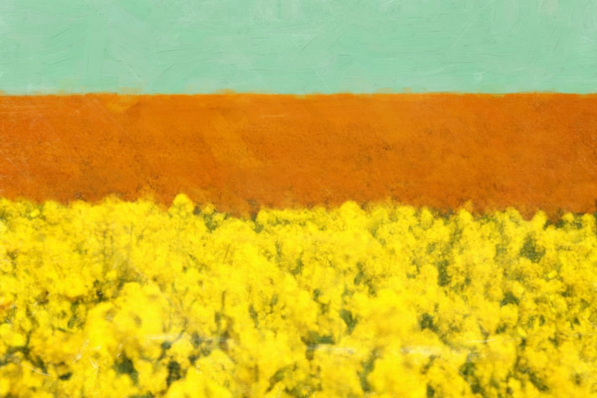 Yellow fields by Nadia  Attura