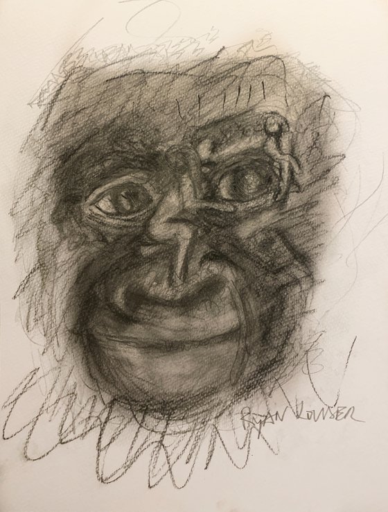 Study of a Gorillas Face