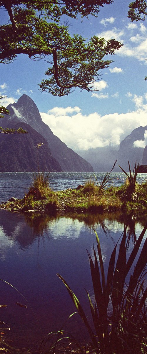 Milford Sound by Alex Cassels