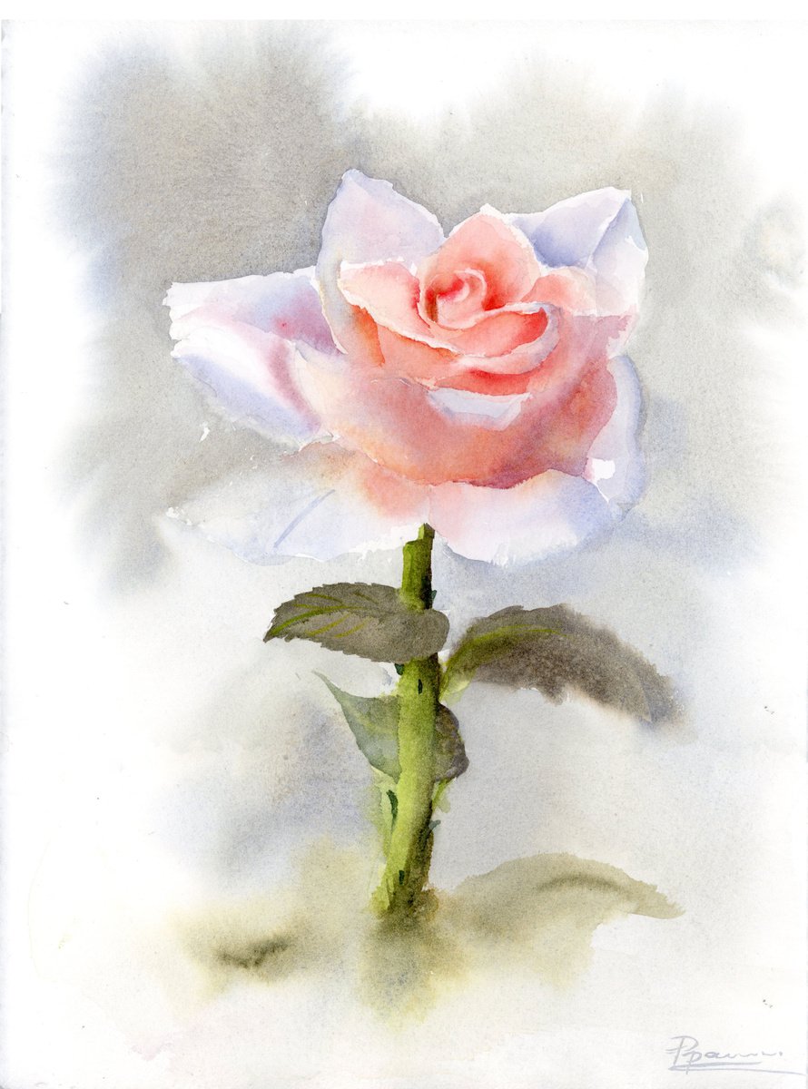 Impressionistic Botanical Watercolour By Olga Tchefranov (Shefranov), 9 X 12", Single Rose, Original Artwork