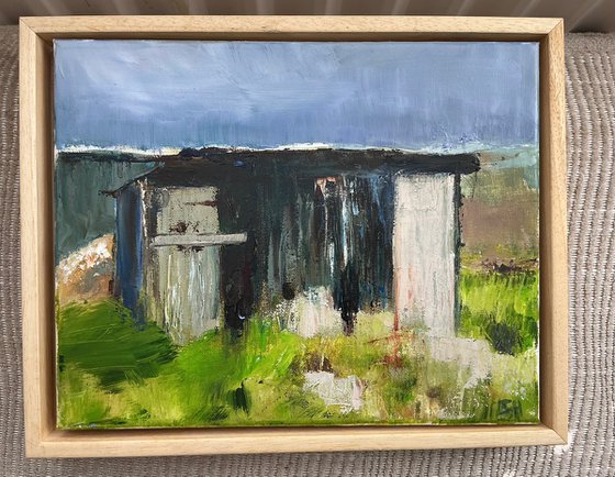 Allotment Shed