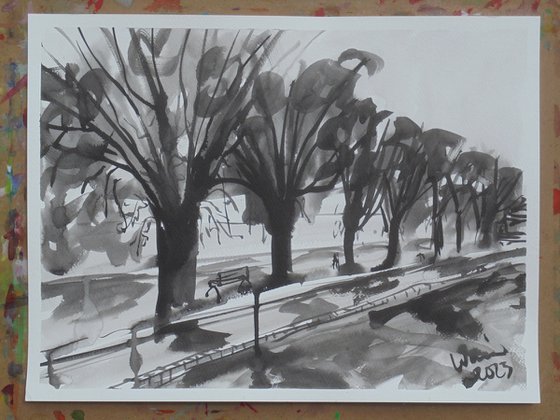 Ink study Jacaranda