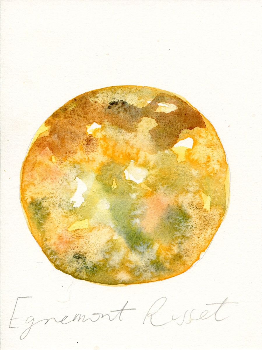 Egremont Russet Apple Watercolour by Hannah Clark
