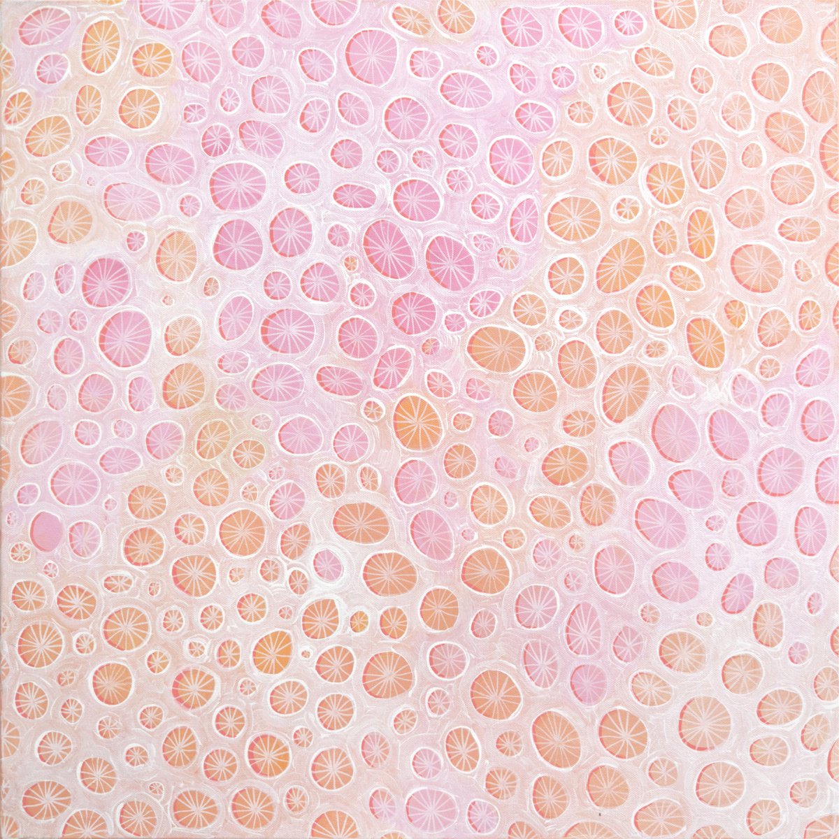 Organic Abstract Acrylic Painting By Jennifer Bell, 60 X 60, Coral Forms, Original Artwork