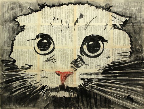 CAT by Marat Cherny
