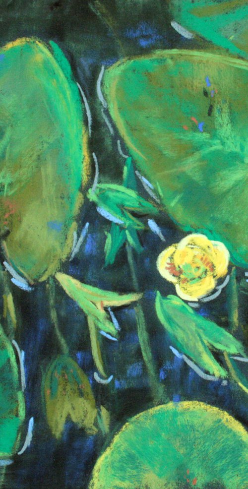 Pond ... Yellow Water Lily ... /  ORIGINAL PAINTING by Salana Art