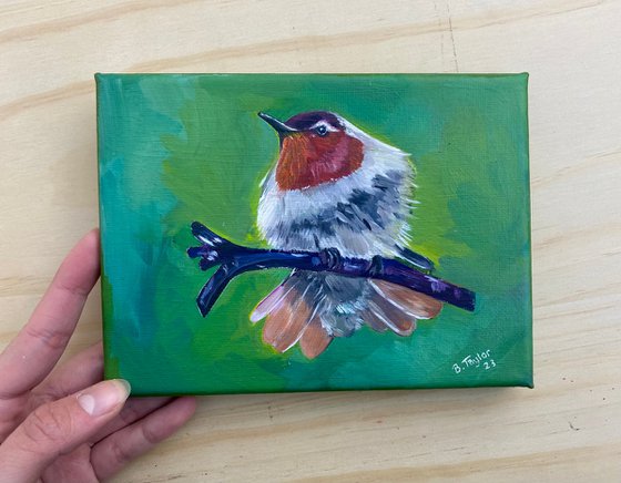 Hummingbird oil painting
