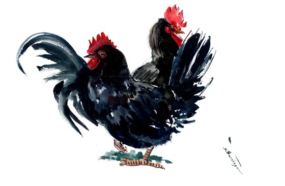 Black Rooster and Han