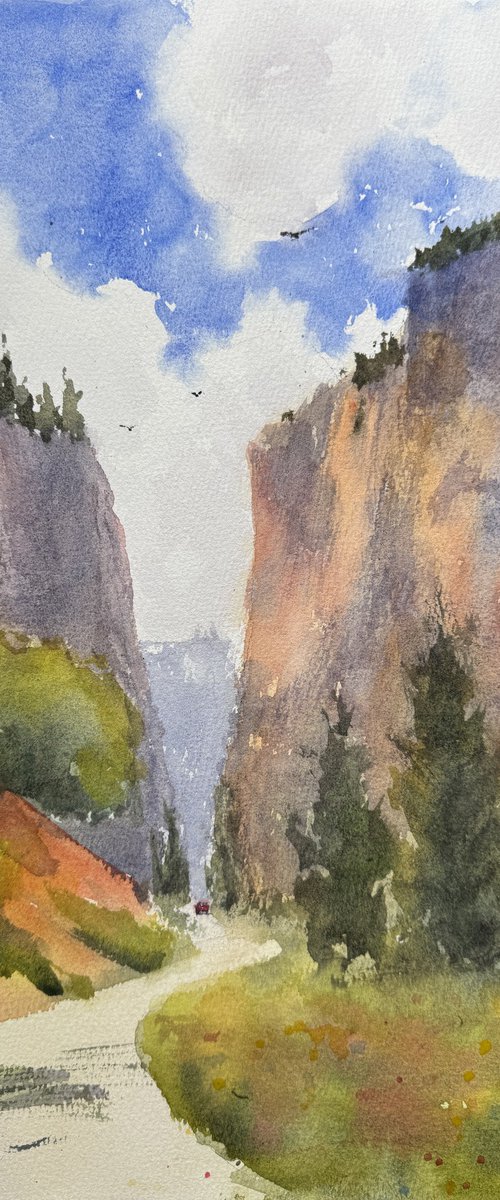 Driving through the canyon by Shelly Du