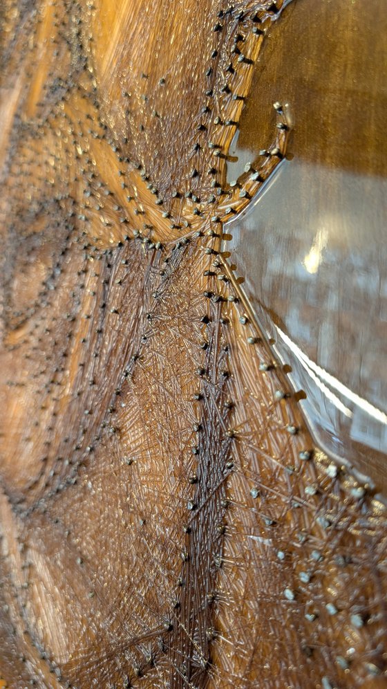 The Philosopher’s Wink