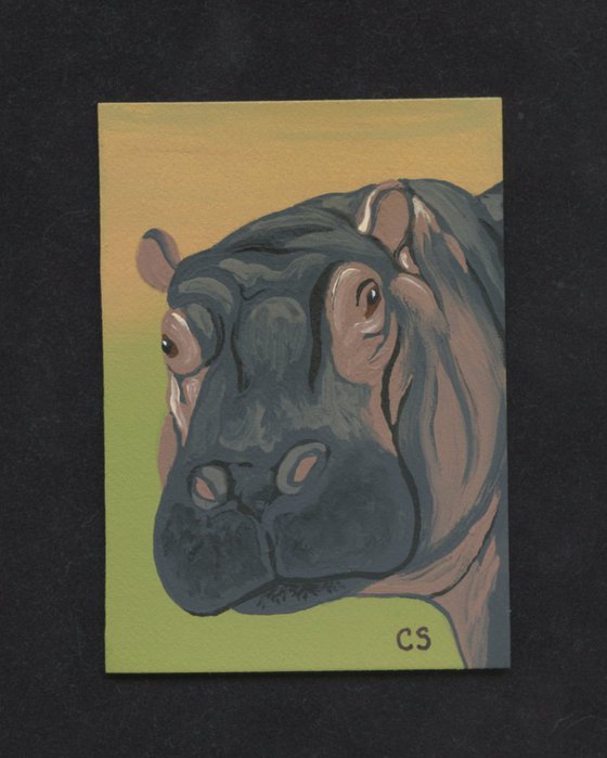 ACEO ATC Original Miniature Painting Hippopotamus Wildlife Art-Carla Smale