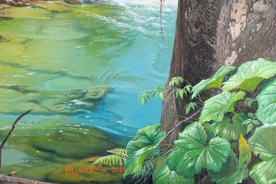 Rocks in a mountain stream