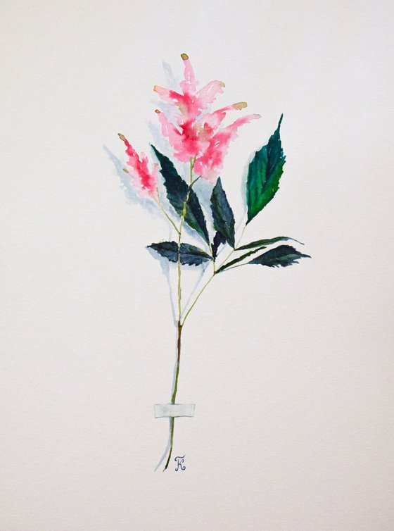 Botanical ORIGINAL watercolor painting, pink flower of mint, romantic gift for her