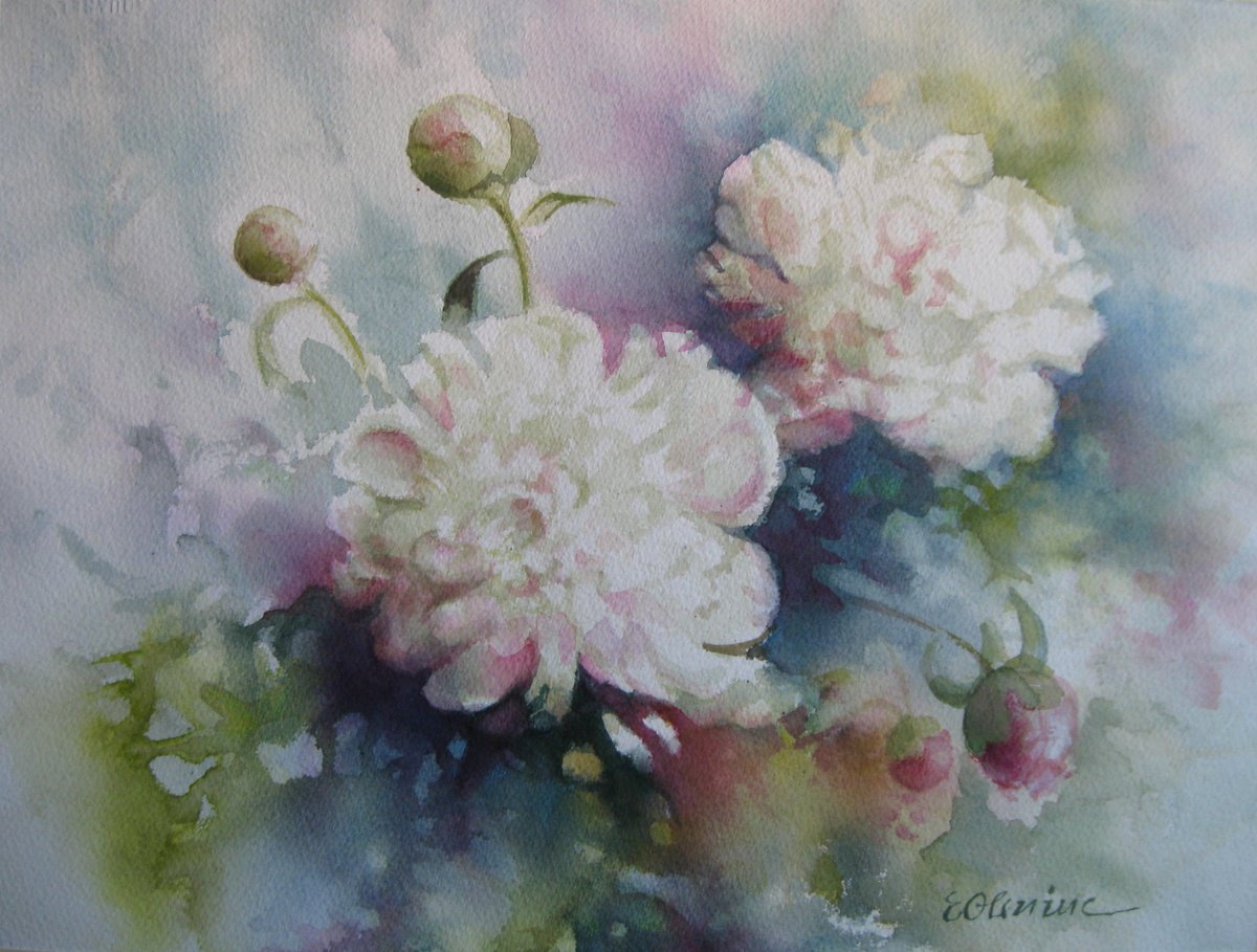 Impressionistic Botanical Watercolour By Elena Oleniuc, 17 X 13, Peonies, Original Artwork