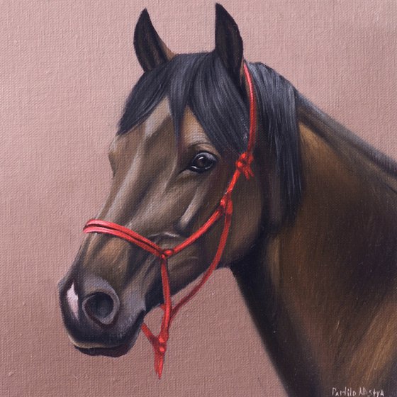 Horse Portrait 73