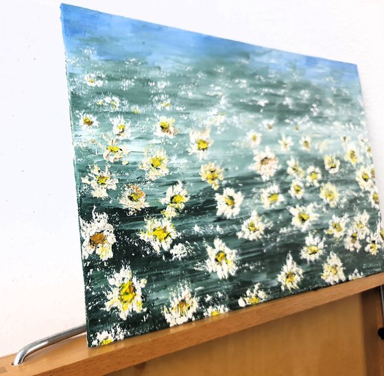 Daisies 1