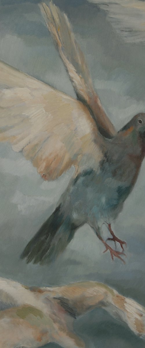 IL CIELO SOPRA LA CITTA by Marcello Carrozzini