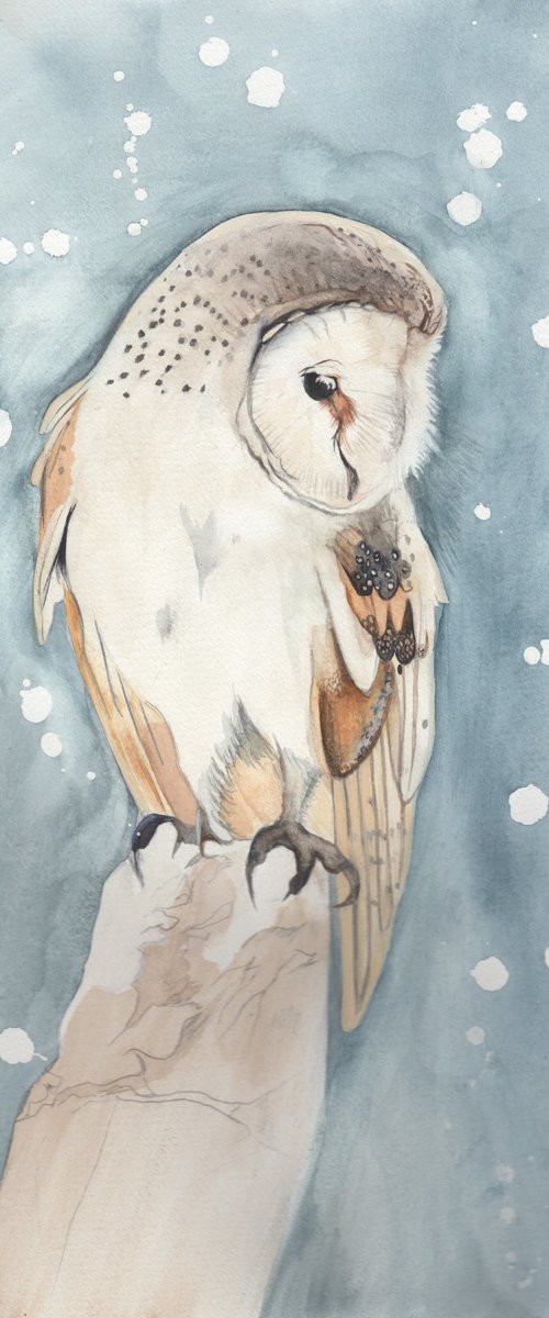 'ALL SOULS OWL' by Zoe Spencer