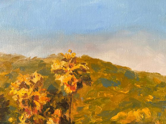 “A Dialogue Between Light and Shadow at Dusk”