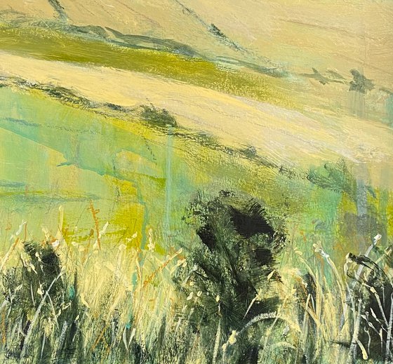 Hot Summer Fields