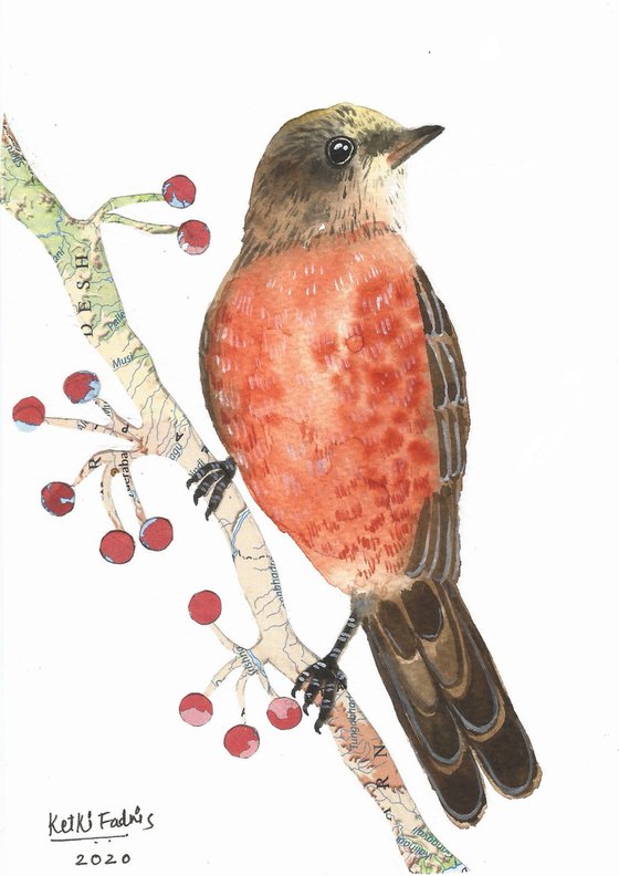 American Robin - Watercolor collage painting