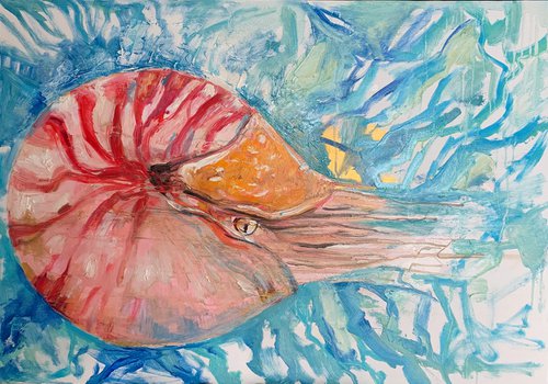 Nautilus pompilus sealife by Olga Pascari