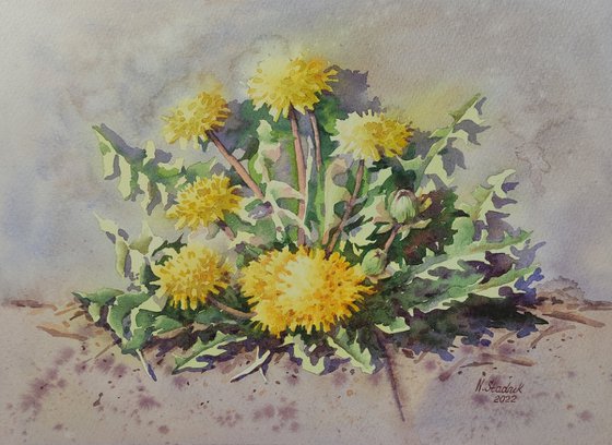 Ukrainian watercolor. Dandelions. Stolen spring
