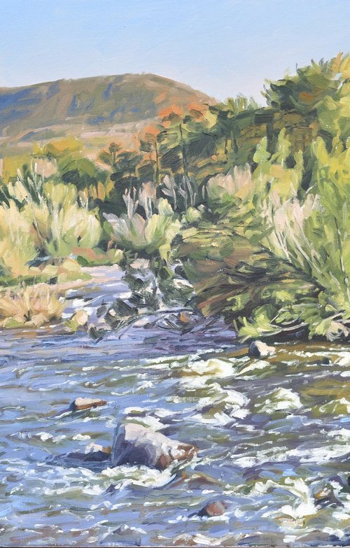 Autumn evening on the Loire river by ANNE BAUDEQUIN