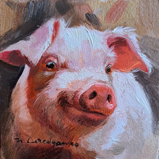 Pig portrait