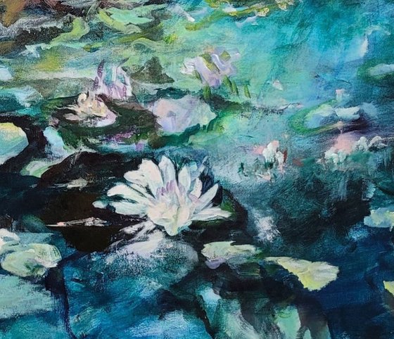 Water Lilies